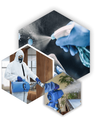SANITIZAÇÃO CONTRA CORONAVIRUS GRUPO CONTROLBIO